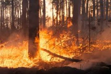 Dichiarazione stato di massima pericolosit&#224; per gli incendi boschivi