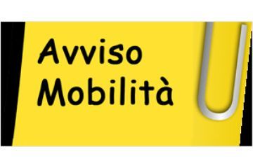 AVVISO DI MOBILIT&#192; VOLONTARIA ESTERNA (ART. 30 D.LGS. 165/01) - N.1 ISTRUTTORE (EX CAT. C) - DA ASSEGNARE ALL&#39;AREA AMMINISTRATIVO-AFFARI GENERALI-VIGI