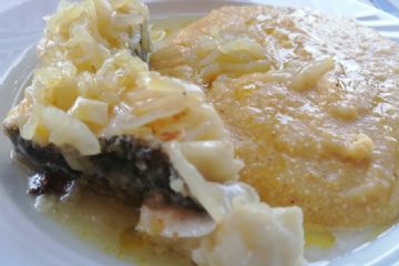 merluzzo