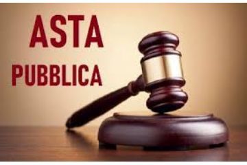 Avviso asta pubblica per la vendita di materiale legnoso ritraibile