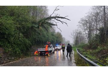 regione Piemonte Alluvione 15 -17 Aprile 2025 Segnalazione Danni Privati